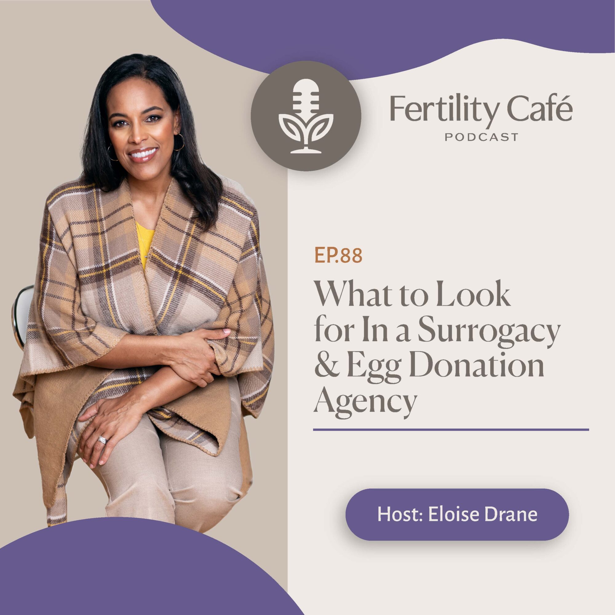 Ep 88 Transcript | What to Look for in a Surrogacy & Egg Donation Agency