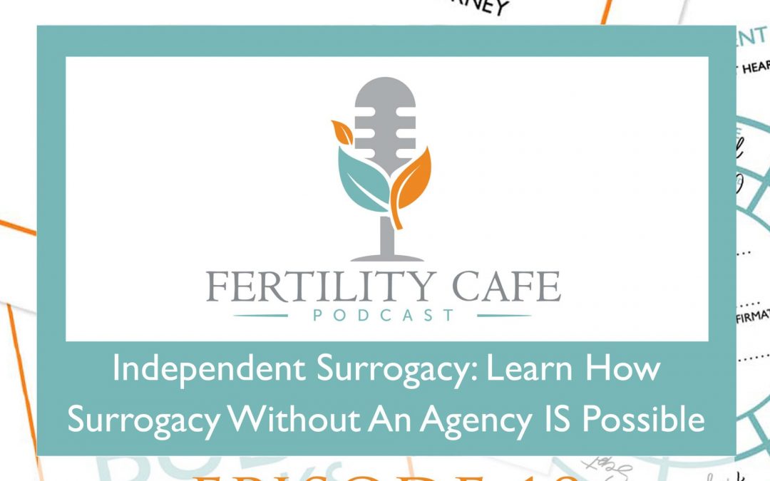 Ep 18. Independent Surrogacy: Learn How Without an Agency IS Possible