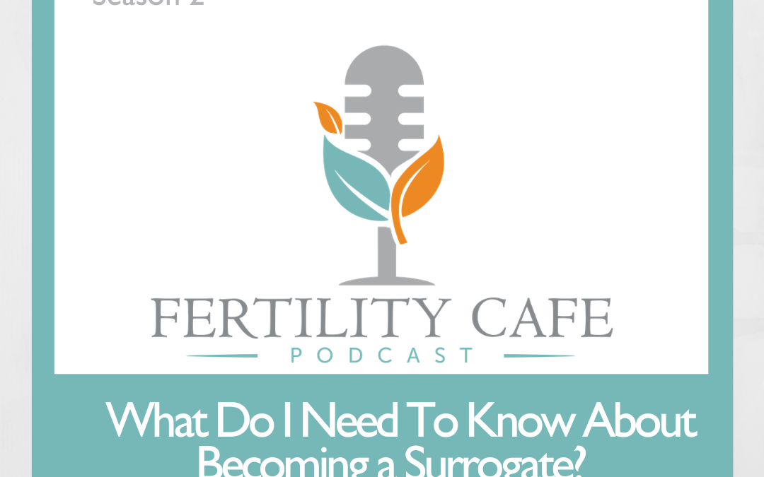 Ep 31 | What I Wish I Knew As A Surrogate