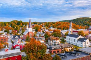 how does surrogacy work in vermont