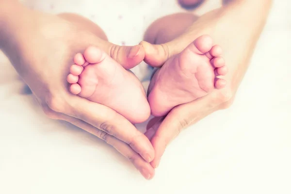 baby feet inside hands celebrating world embryology day